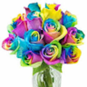 Meet your Posher, Deepika